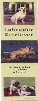 Dog Photos YELLOW LAB RETRIEVER Pet Laminated Paper Bookmark set of 2