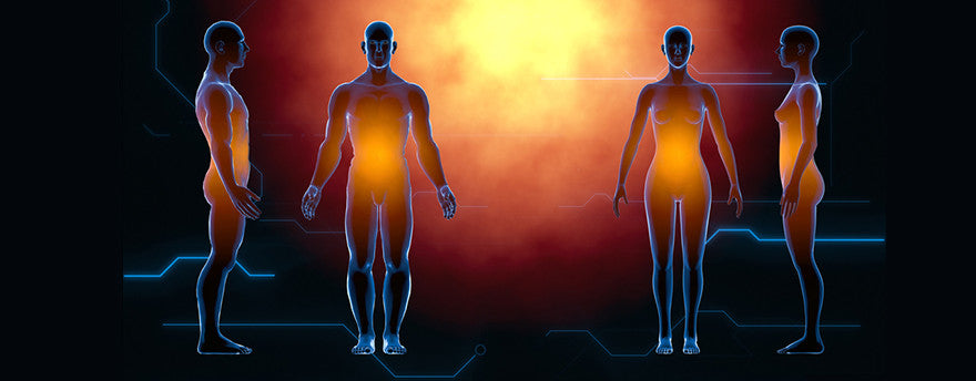 initiations distance anatomie energetique