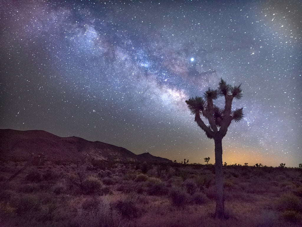Milky Way In The High Desert