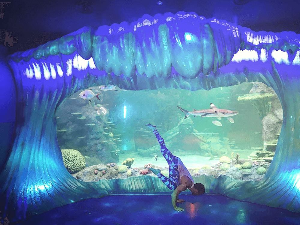 man doing yoga in aquarium wearing shark meggings