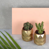 Pineapple Brass Plant Pot - indish-design-shop-2