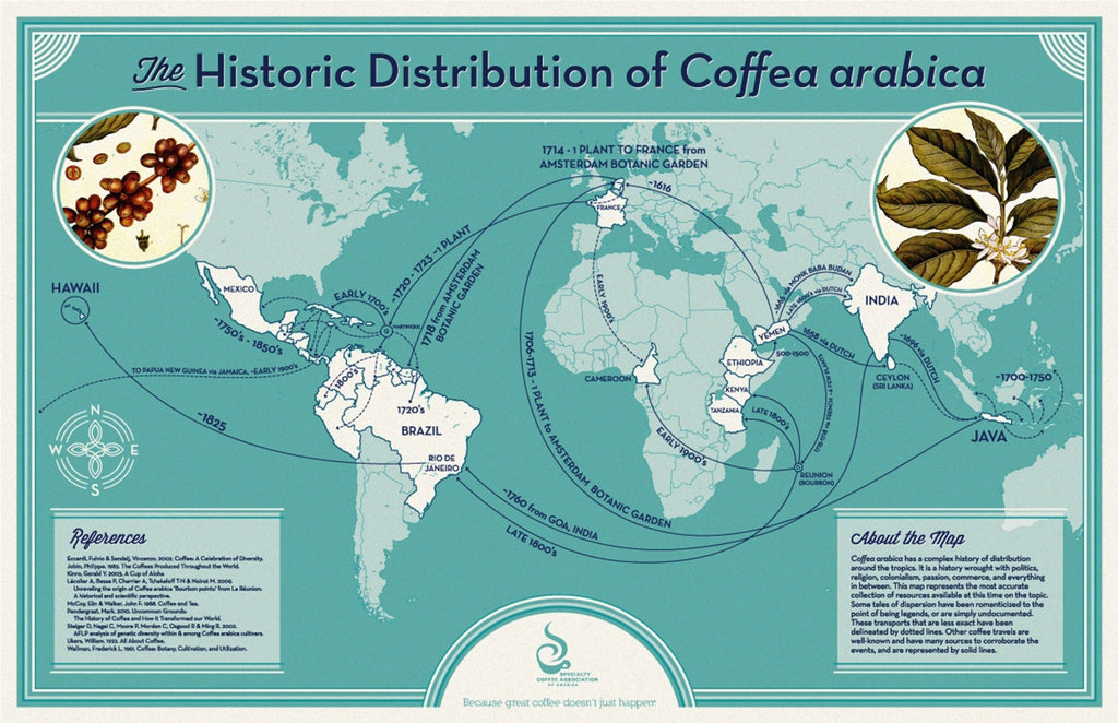 World map showing how coffea arabica spread around the world