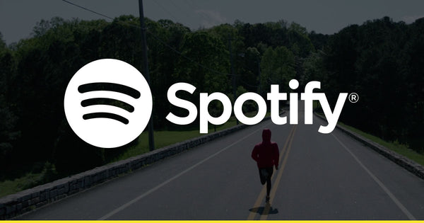 Spotify Subscription