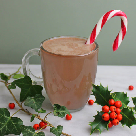 Chocolate Protein Hot Chocolate  | Neat Nutrition. Clean, Simple, No-Nonsense.