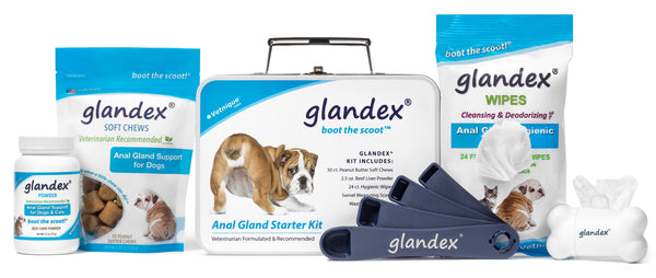 Glandex Anal Gland Starter Kit