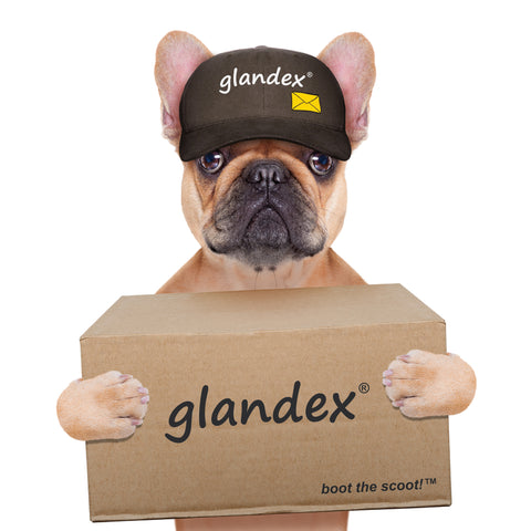 Glandex Supplement for Anal Gland Problems