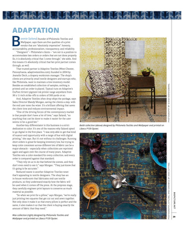 Big Picture Magazine interviews Bonnie Saland on Digital Printing in their Adaptation article