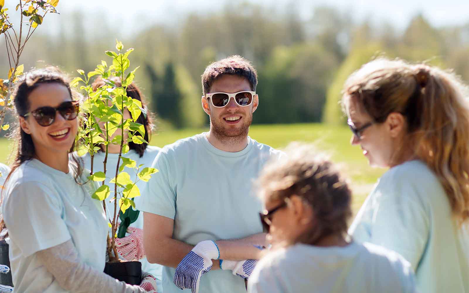 GrowFood - Community gardening