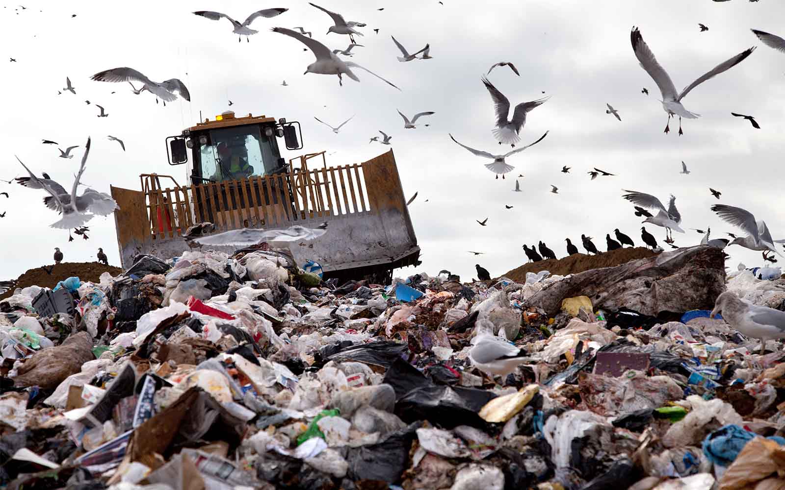 World Population Day - waste