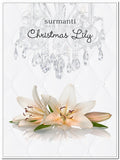 Christmas Lily Longburning EcoSoya Candle