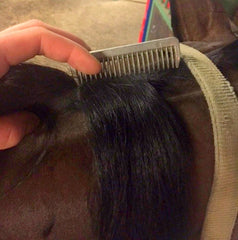 How to plait a mane - blog by international eventing groom Emma Stewart - Eqclusive, eqclusive.com