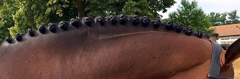 How to plait a mane - blog by international eventing groom Emma Stewart - Eqclusive, eqclusive.com