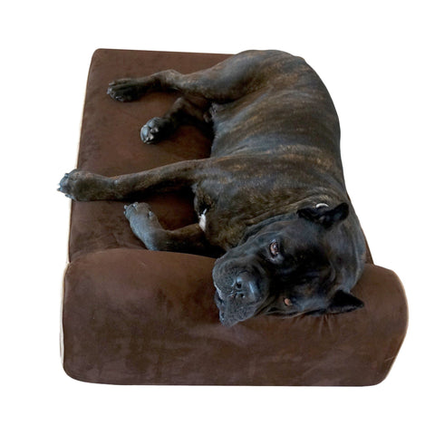 Extra Large Dog Bed for Older Dog