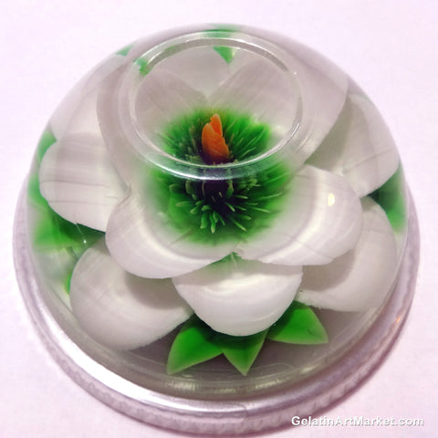 3D Gelatin Flower