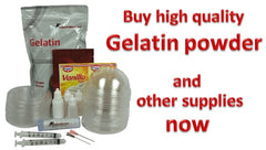 Supplies for Gelatin Art