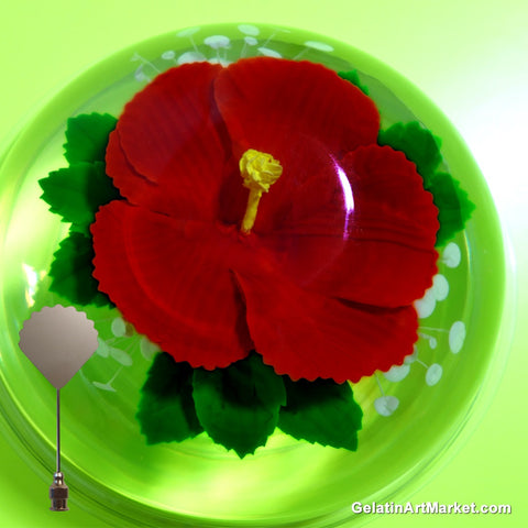 3D Gelatin Hibiscus