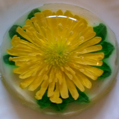 Gelatin Art Flower With Titanium