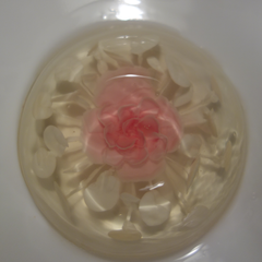 Gelatin Art Flower