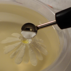 Gelatin Art Flower