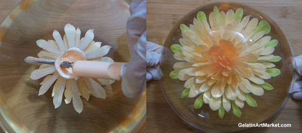 Gelatin Art Instructions