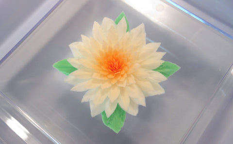 Gelatin Art Flower