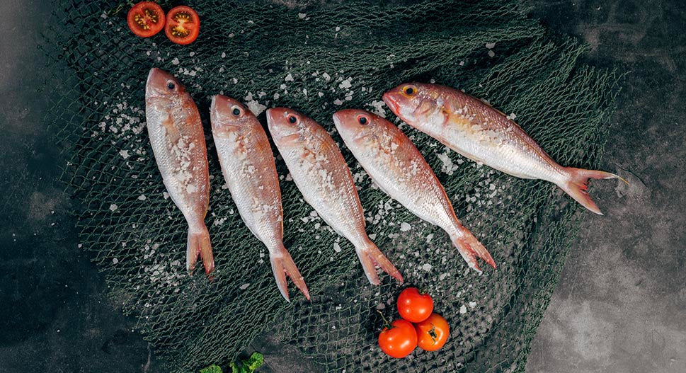 Eating oily fish helps stress