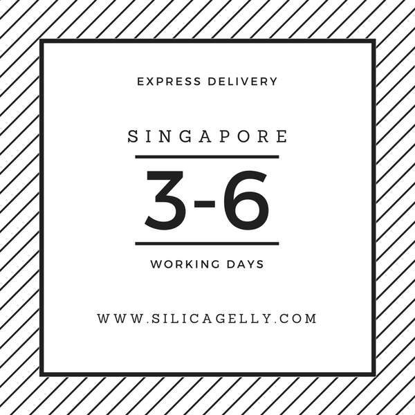 singapore-express-delivery