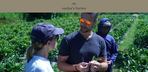 Sasha's Farms