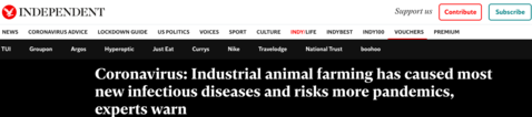 The Independent - Animal Farming & Pandemics