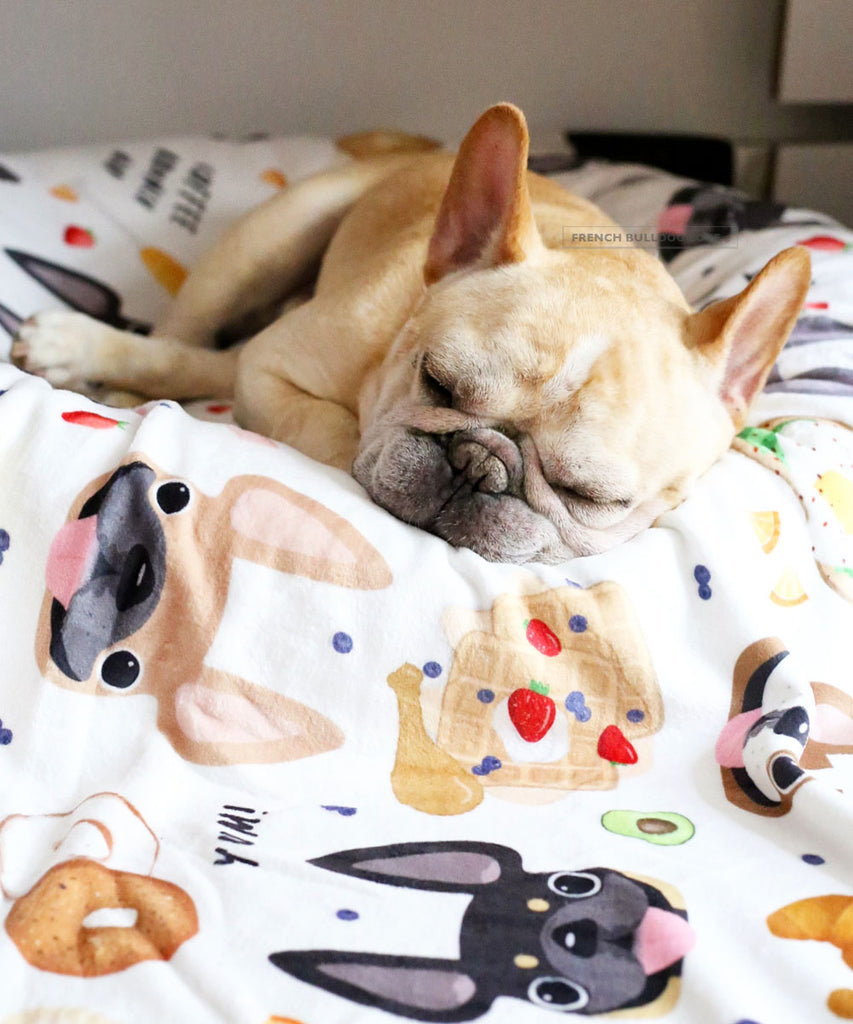 French Bulldog Blanket