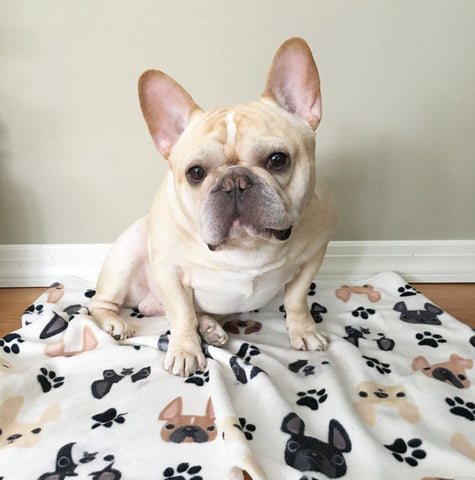 French Bulldog Love Fleece Blanket