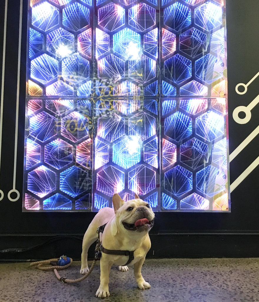 French Bulldog Love Industry City