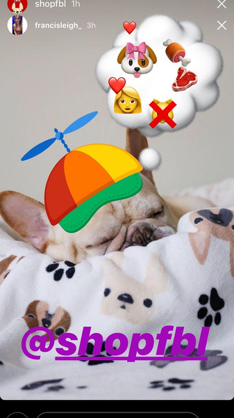 French Bulldog Love Instagram Contest