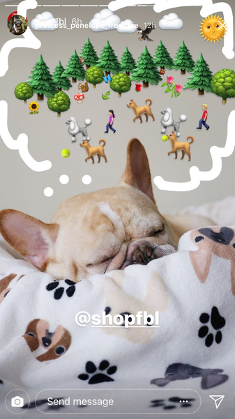 French Bulldog Love Instagram Contest