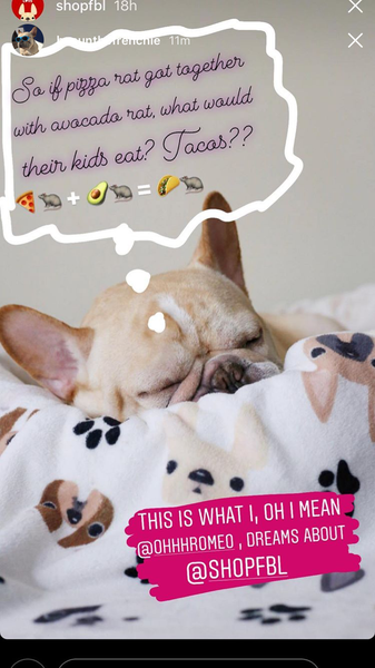 French Bulldog Love Instagram Contest