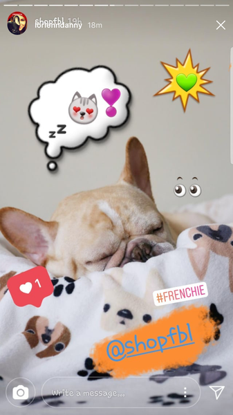 French Bulldog Love Instagram Contest