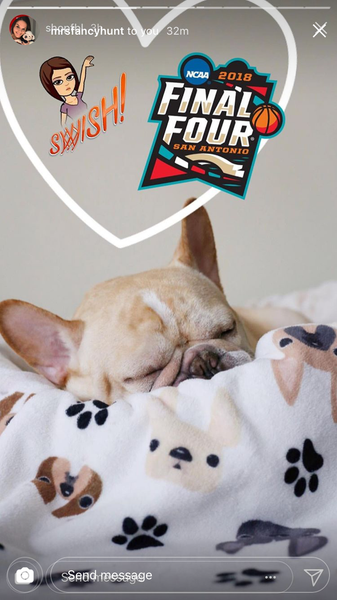 French Bulldog Love Instagram Contest