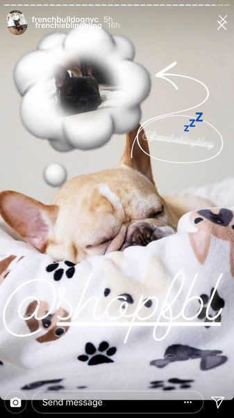 French Bulldog Love Instagram Contest