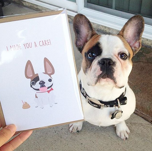 French Bulldog Love Custom Frenchie Design