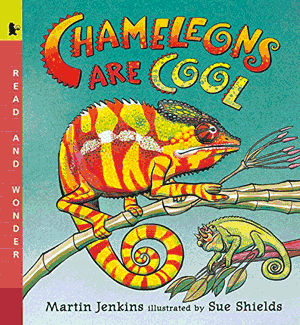 Chameleons Are Cool! book cover