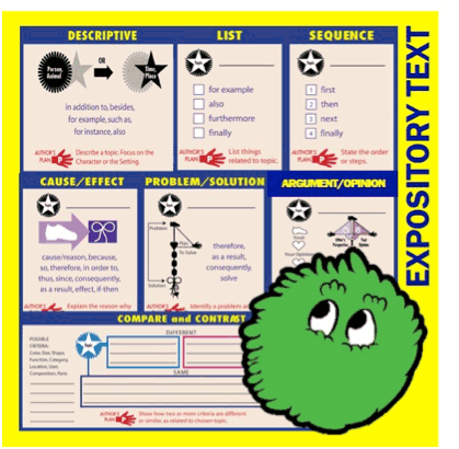 Expository Text Diagram