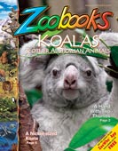 Koala by Zoobooks