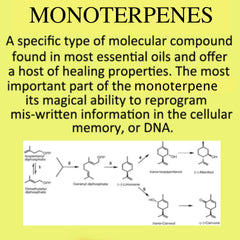 Sesquiterpenes, Monoterpenes, Phenylpropanoids. Essential Oils DO cross the Blood Brain Barrier. Use Myrrh & Frankincense to cure cancer! Aromatherapy & orally.