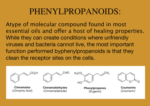 Sesquiterpenes, Monoterpenes, Phenylpropanoids. Essential Oils DO cross the Blood Brain Barrier. Use Myrrh & Frankincense to cure cancer! Aromatherapy & orally.