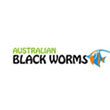 Australian Black Worm