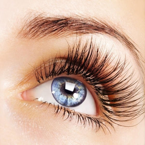 Are longer lashes more feminine?