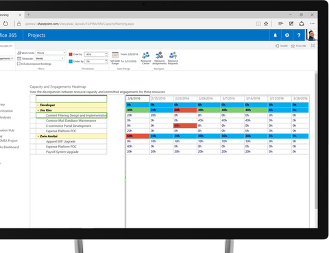 Visual heat maps in Microsoft Project 2016