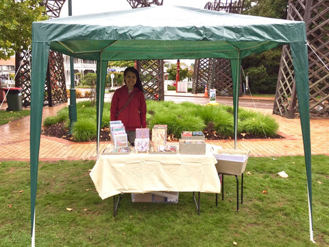 hanakrafts art in the park rotorua 2017