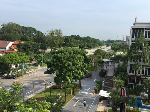 hanakrafts Singapore view