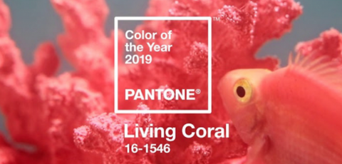 corail pantone couleur tendance